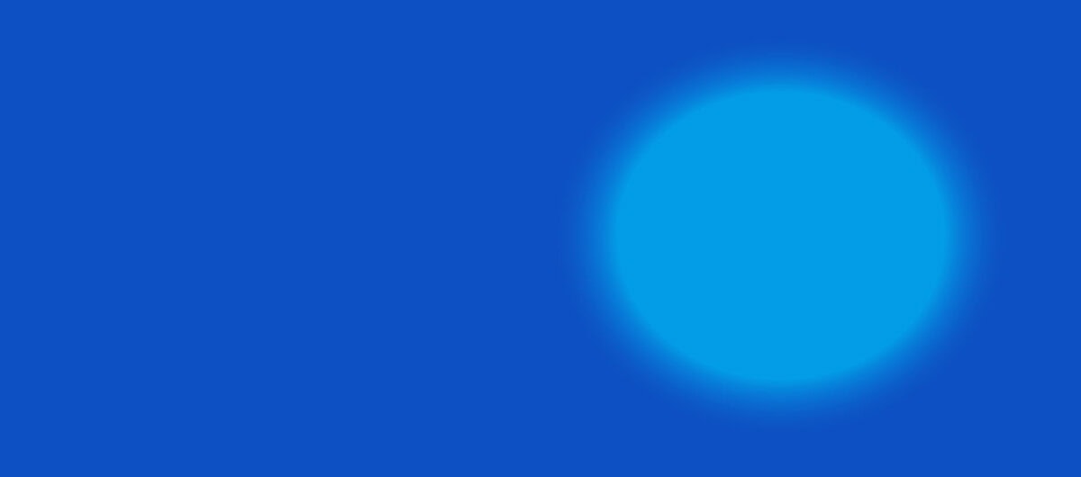Customizable GoCanvas white label embed interface for partners.